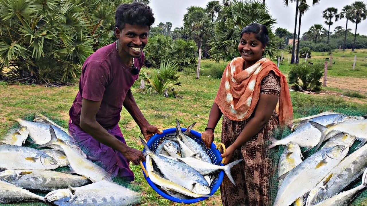 10 கிலோ கட்ட பாறையை என்ன பண்ணிட்டாங்கன்னு பாருங்க 
