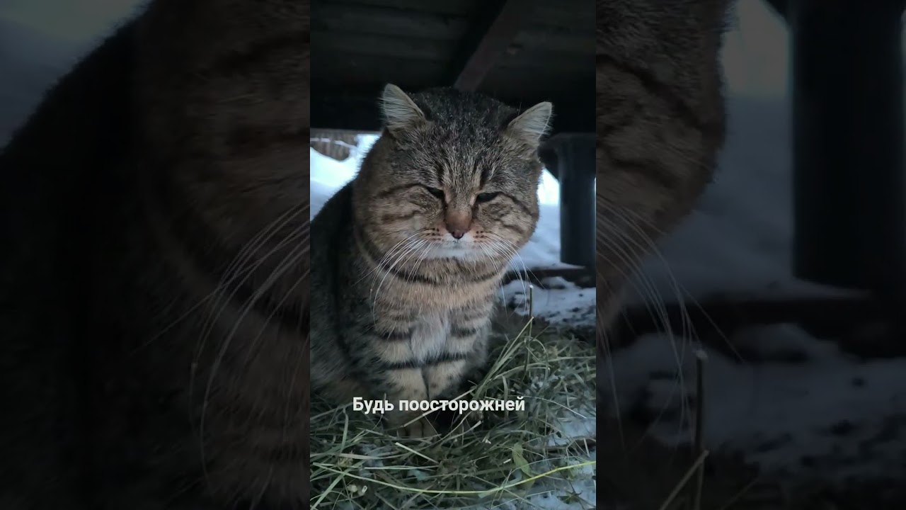 Будь поосторожней 