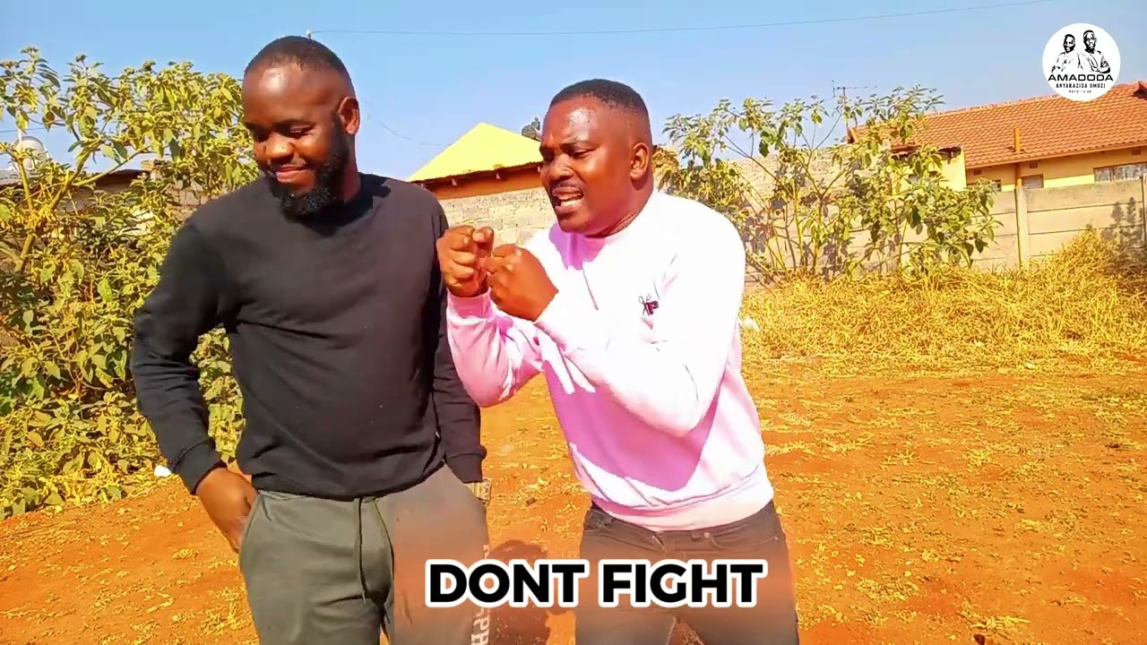 Dont fight