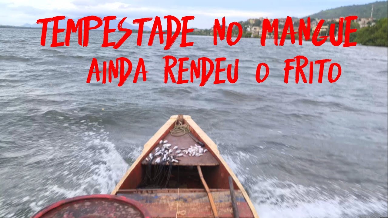 Fui buscar o almoço do mutirão e deu trabalho mais veio.