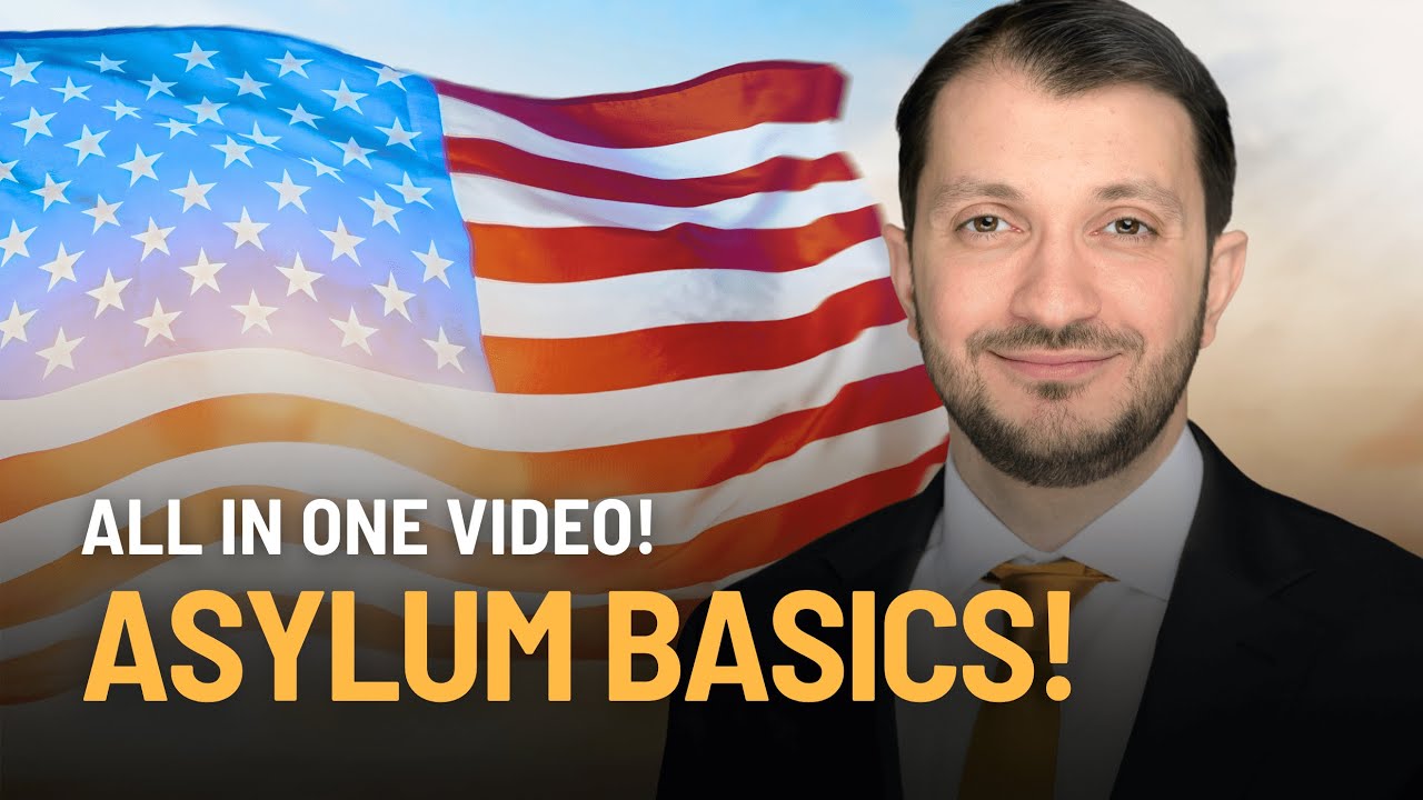 Asylum Basics Explained in 20 Minutes!