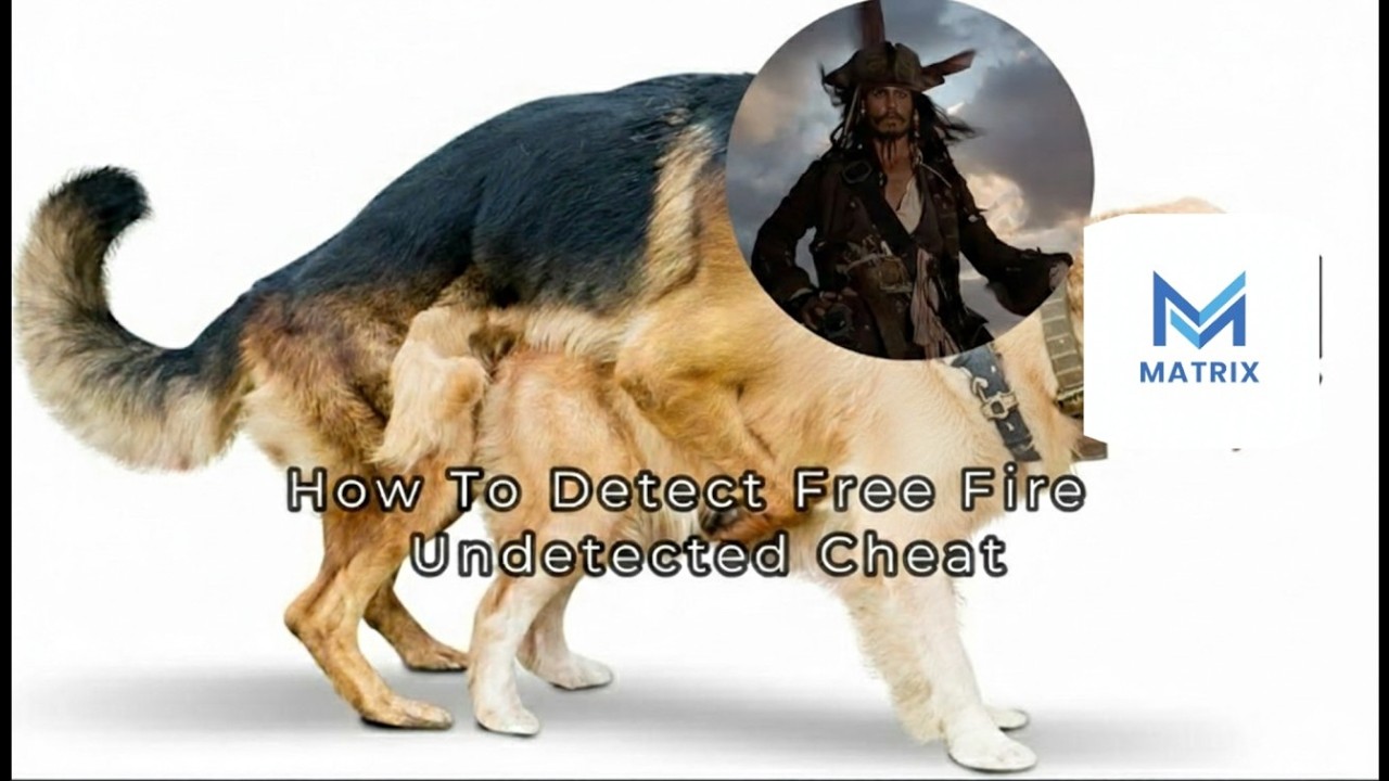 End Of Matrix Regedit Streamer Panel - Free Fire #freefire #nonstopgaming #live