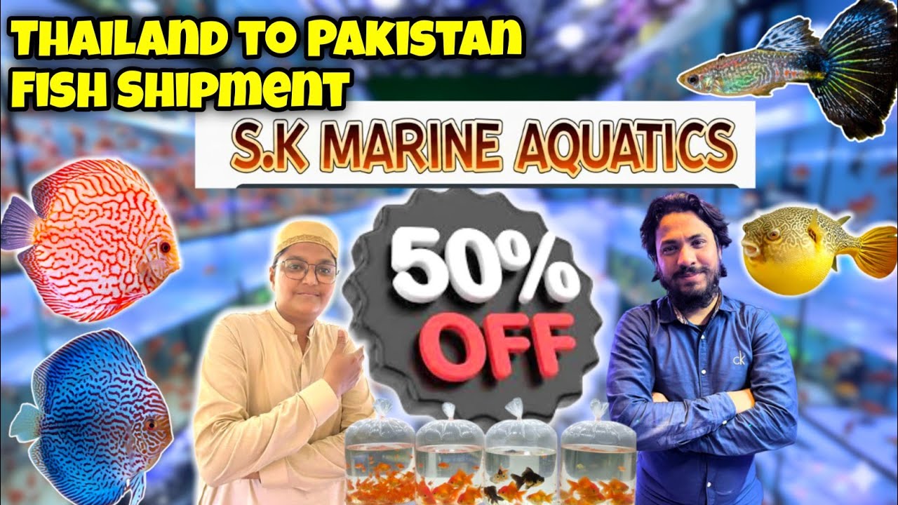 BIGGEST Thailand Fish Shipment 2026! 🇹🇭✈️🇵🇰 50% OFF Loot Lo Sale at S.K Marine Aquatics Karachi