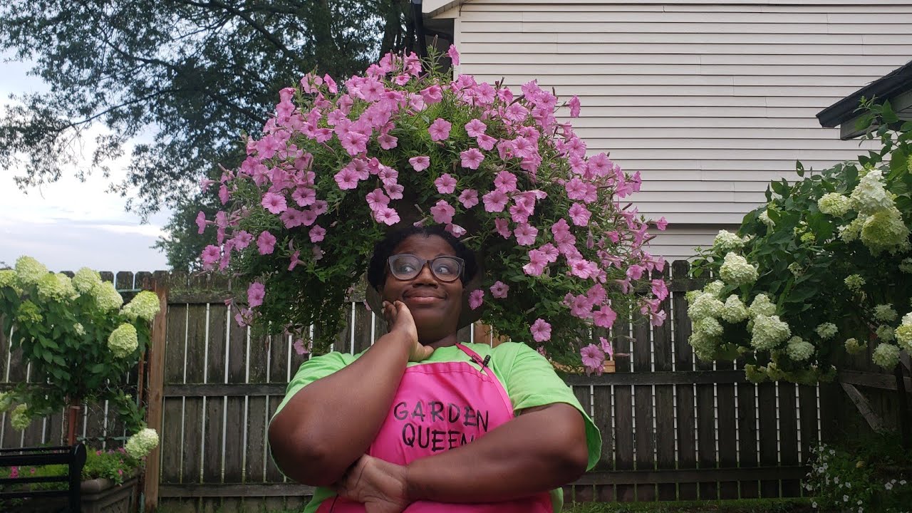 Supertunia Care / Garden Queen / #SupertuniaCare