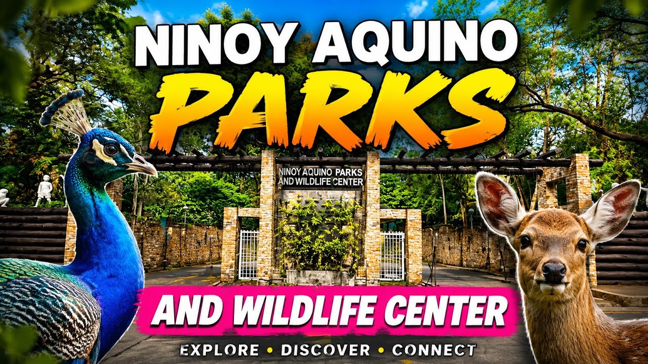 A Relaxing Tour of NINOY AQUINO PARKS and WILDLIFE CENTER 2026