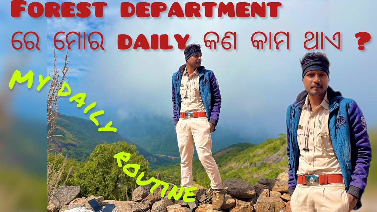 My daily job life routine in Forest department #osssc #odishaforest #forestdepartment #dailyvlog
