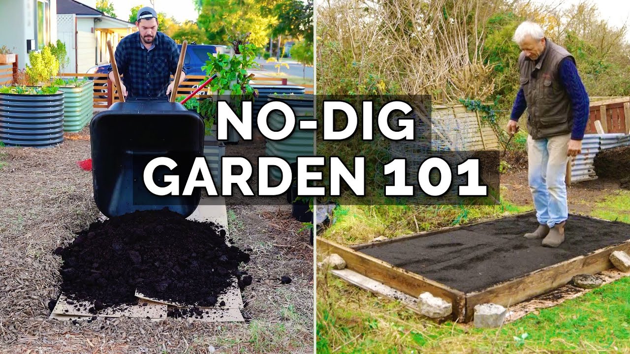How to Make a No Dig Garden Bed With 
