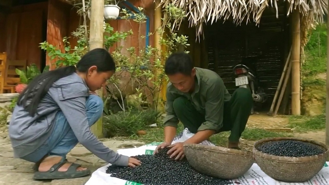 Harvesting Sweet Pineapples To Sell At The Market – Cooking Sweet Dessert Soup With The Orphan Girl