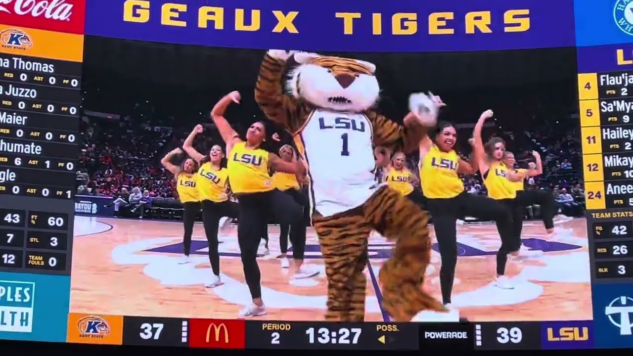 LSU TIGER GIRLS Perform w/MIKE the TIGER LIVE #lsu #dancers #danceteam  ​⁠@places.letsgeaux.6668