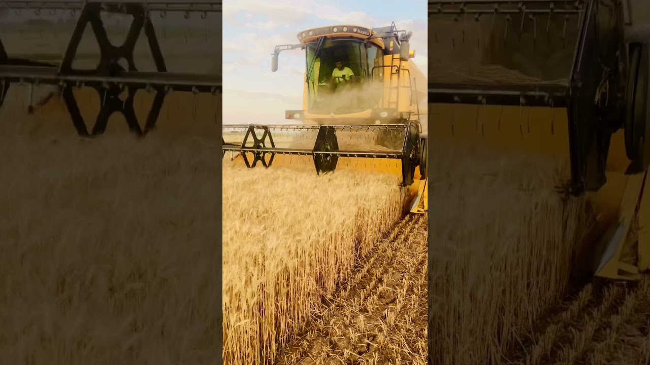 hasat nevşehir hacıbktaş sadık 2021 TC 5.80