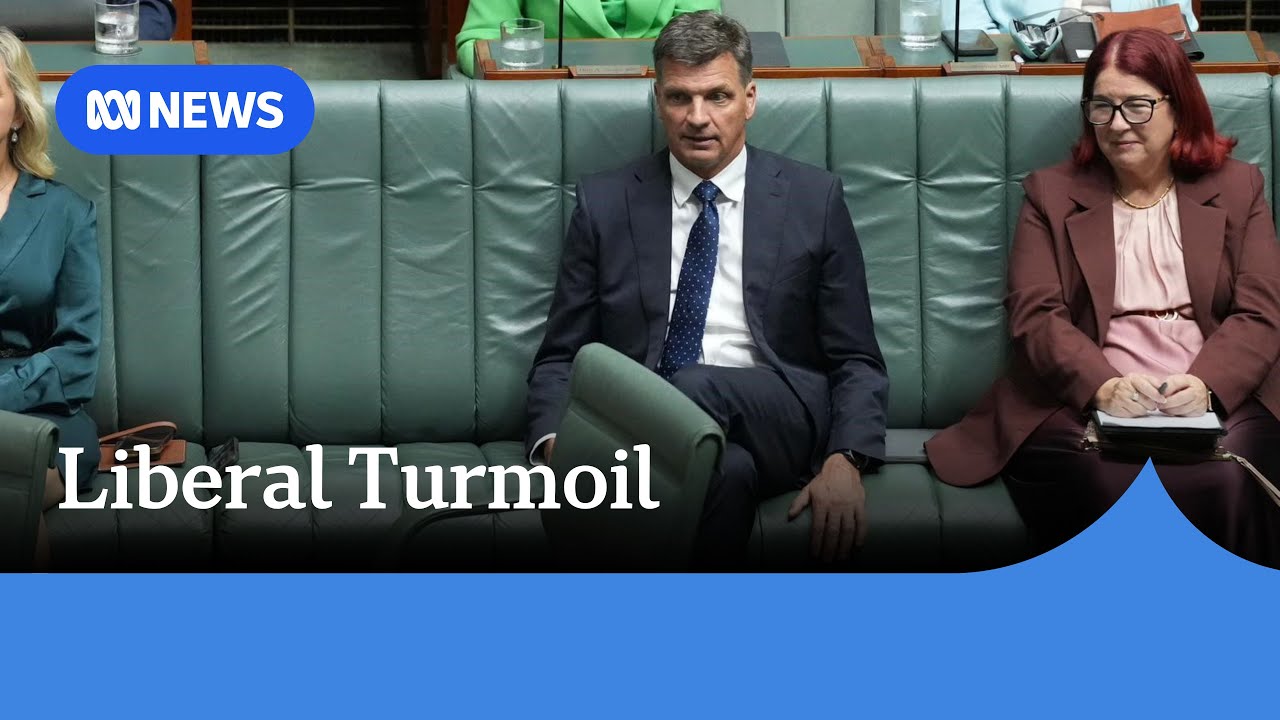 Liberal moderates propose petition for Taylor to prove support for spill | ABC NEWS