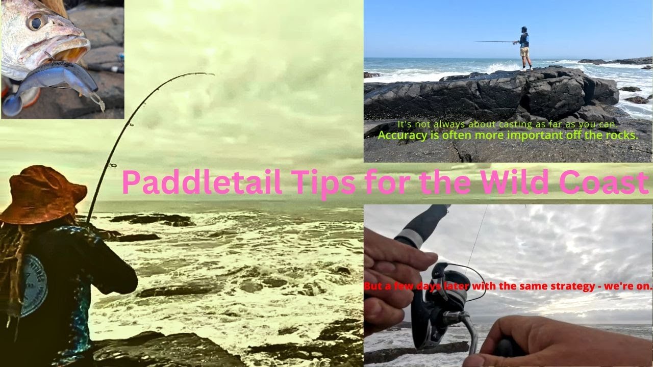 Paddletail Tips off the Rocks - Kei Mouth Kob