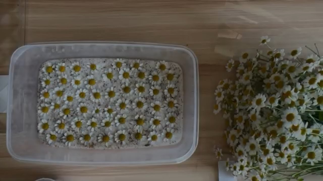 干花制作教程 | Dried real flower crafts | 花艺设计 | 花艺DIY |&nbsp;flowerforever