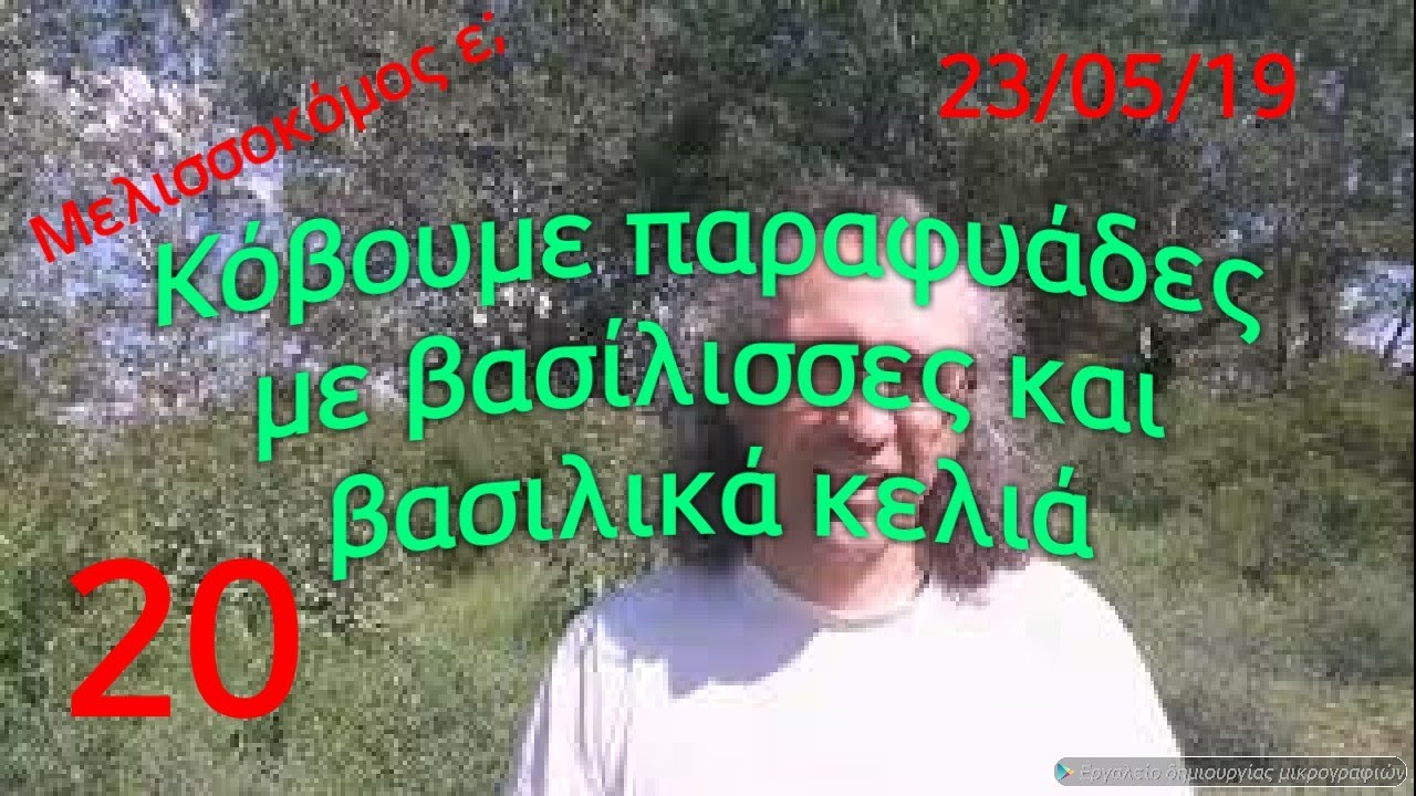 Κόβουμε παραφυάδες με βασίλισσες και βασιλικά κελιά