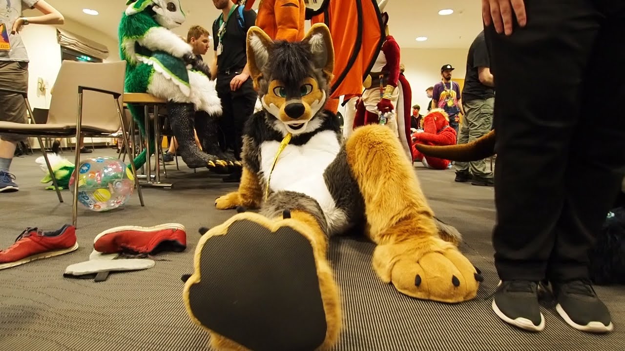 Richie's Paws & Cuddle Party at Eurofurence 26 *** for Furry, Fursuiters and read description first
