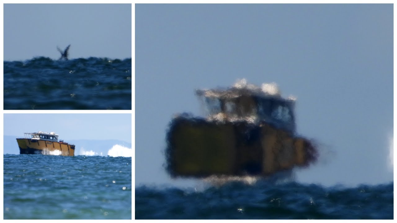 Zooming in on a Bird & Boat on the Horizon (October 19-2020) Nikon P1000