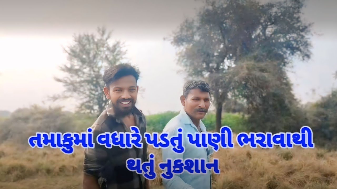 તમાકુમાં વધારે પડતું પાણી પીવાથી થતું નુકશાન//Vlog Video//