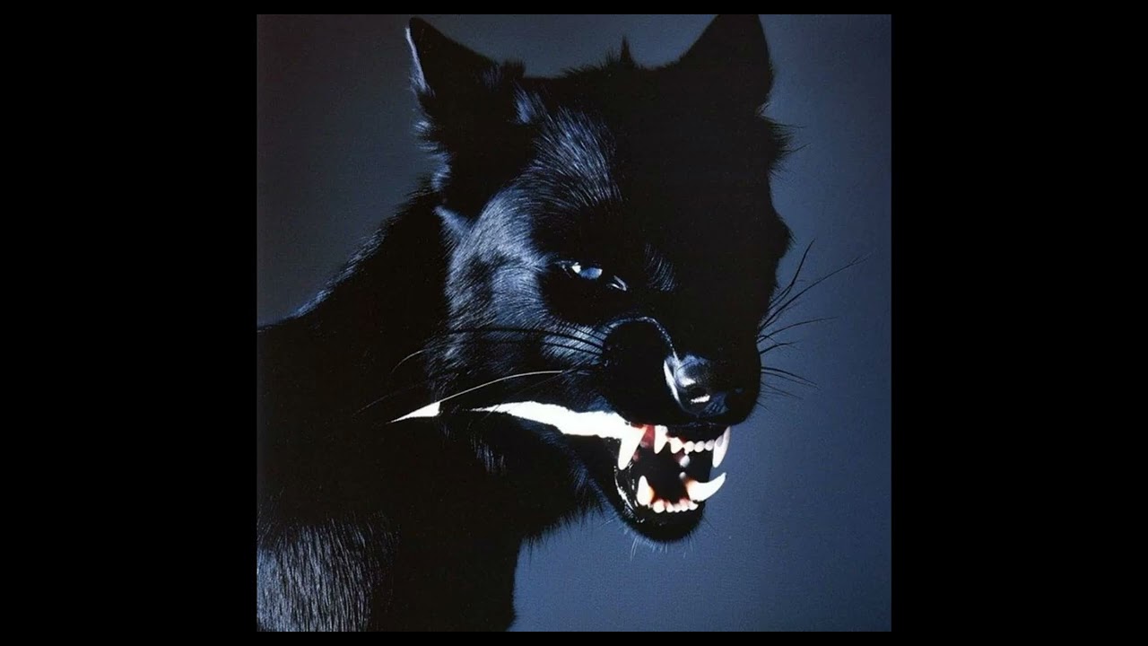 (FREE FOR PROFIT) HARD $UICIDEBOY$ TYPE BEAT - 