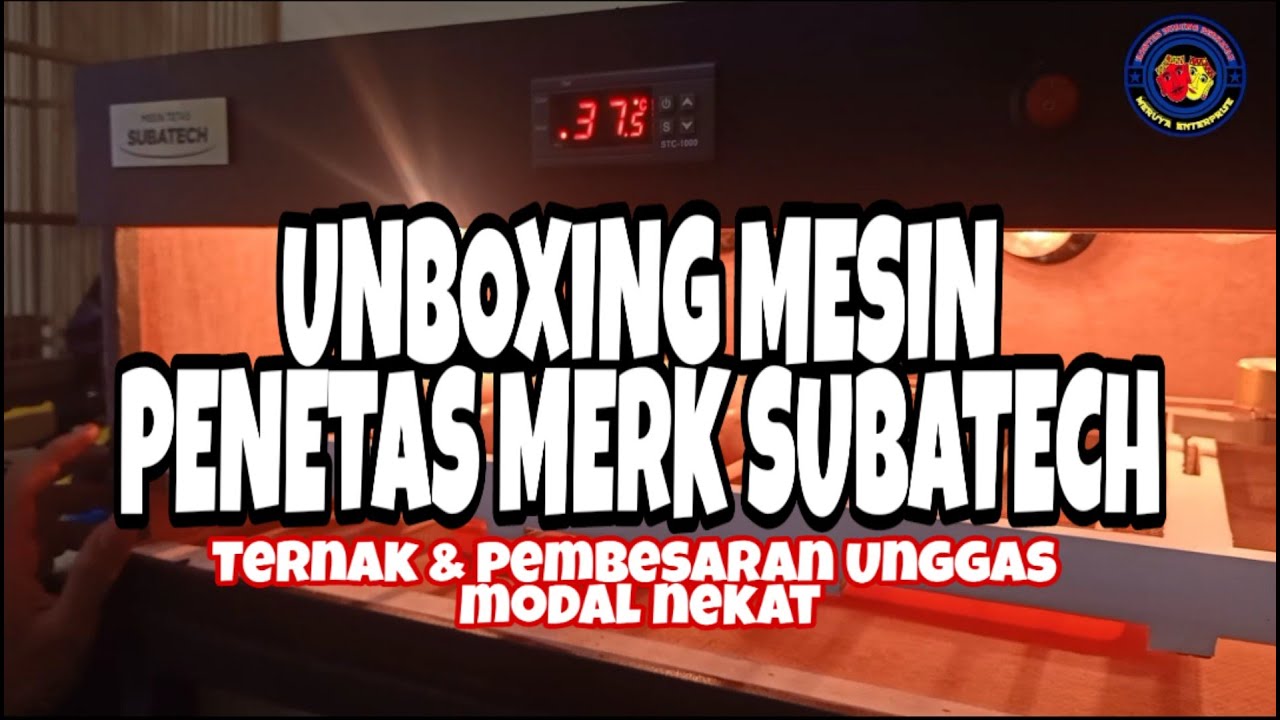 UNBOXING Mesin penetas Merk SUBATECH | Modal Nekat & Belajar dari YT