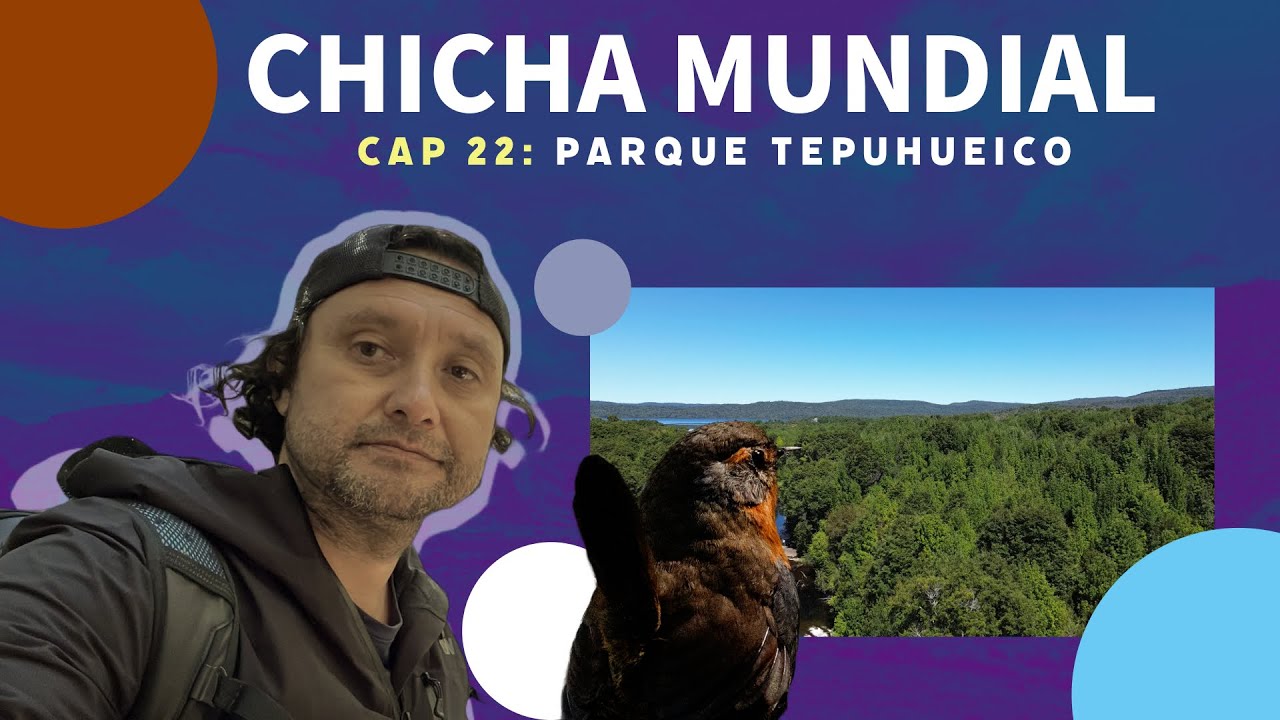 CAP 22: PARQUE TEPUHUEICO 💚 🌞