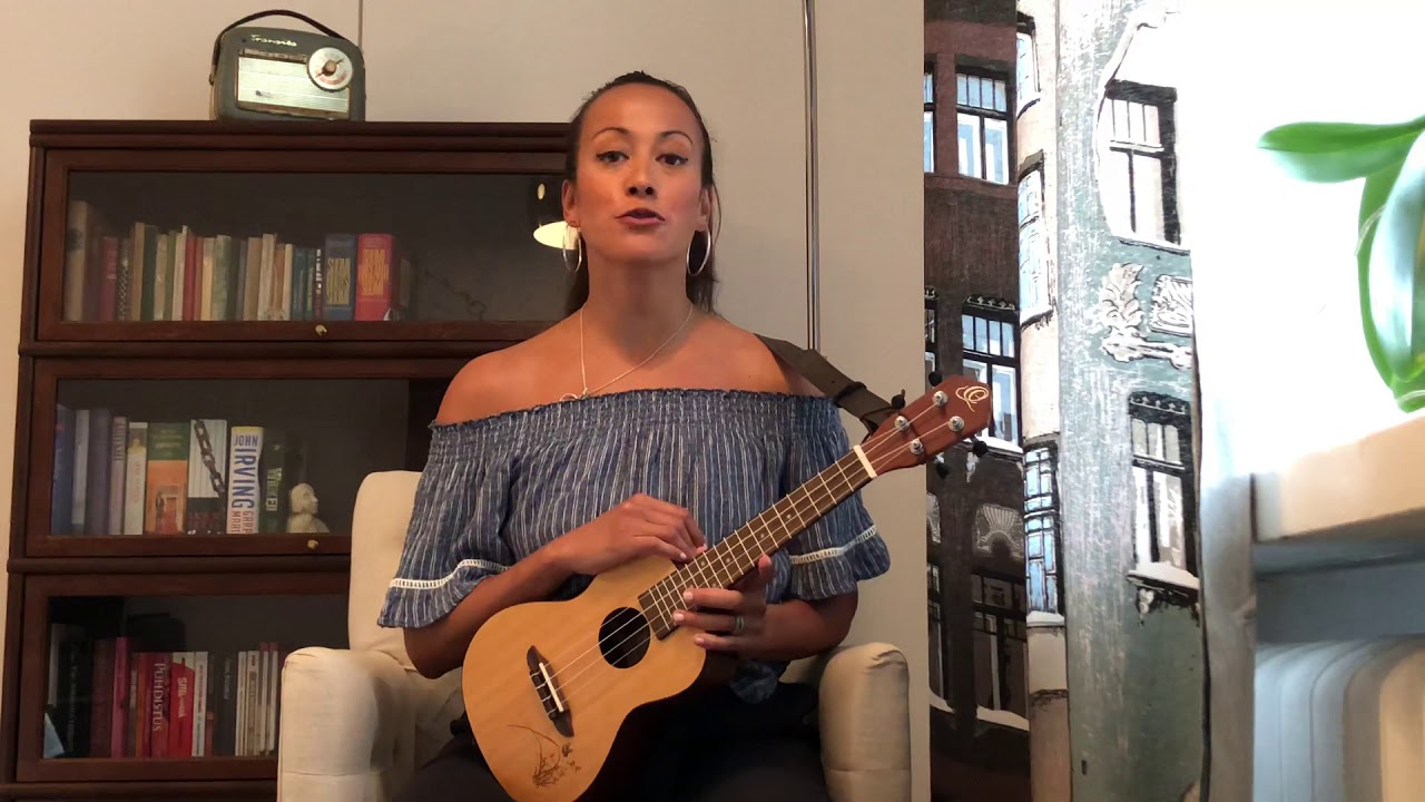 Not ready to make nice - Dixie Chicks cover
