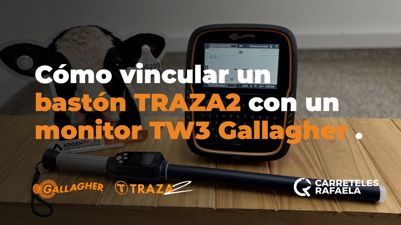 VINCULAR BASTON TRAZA2 CON MONITOR GALLAGHER