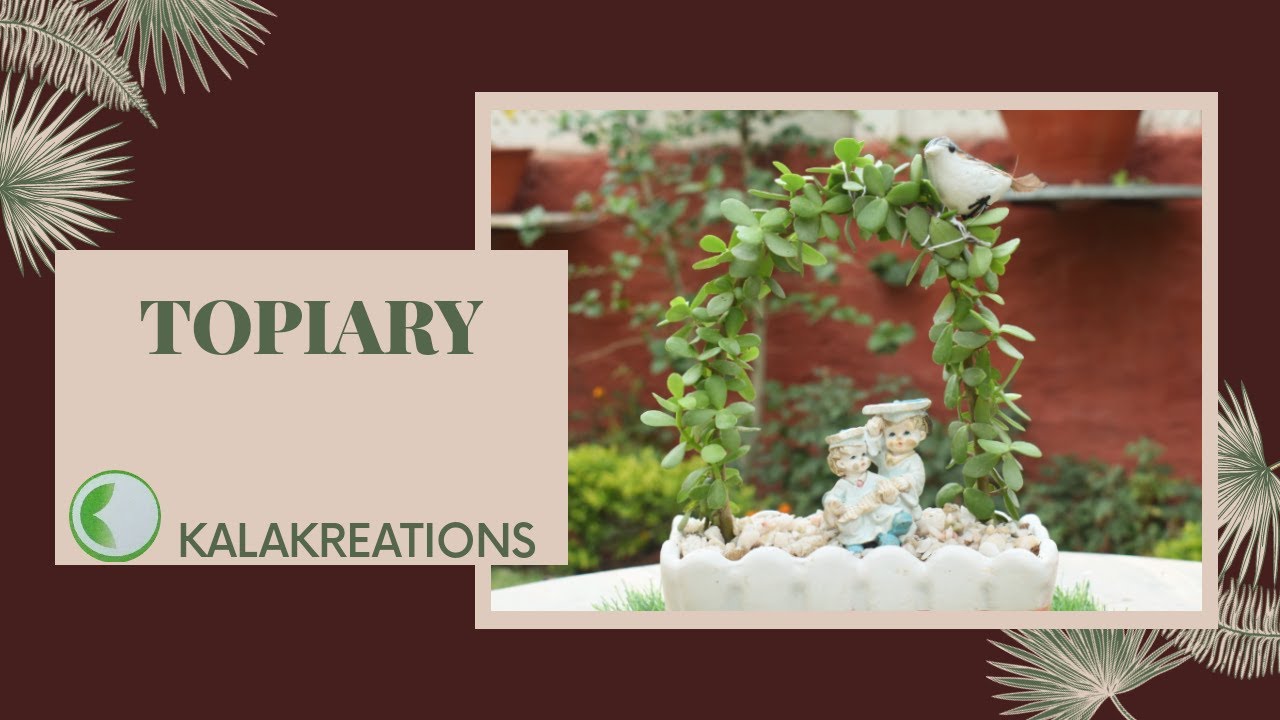 JADE TOPIARY ARC SHAPE | DIY | SIMPLE & EASY