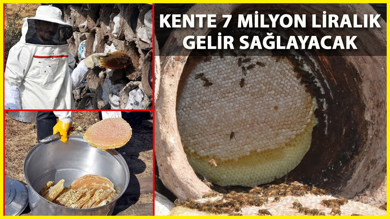 Bitlis'te Hasadına Başlanan Karakovan Balından 2 Bin Ton Verim Bekleniyor