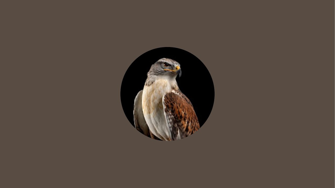 Paramjeet ghuman is live!