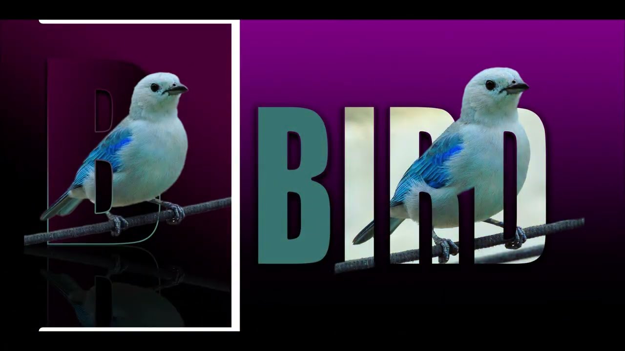 ፎቶሾፕ ጽሑፍ  Photoshop Text Effect