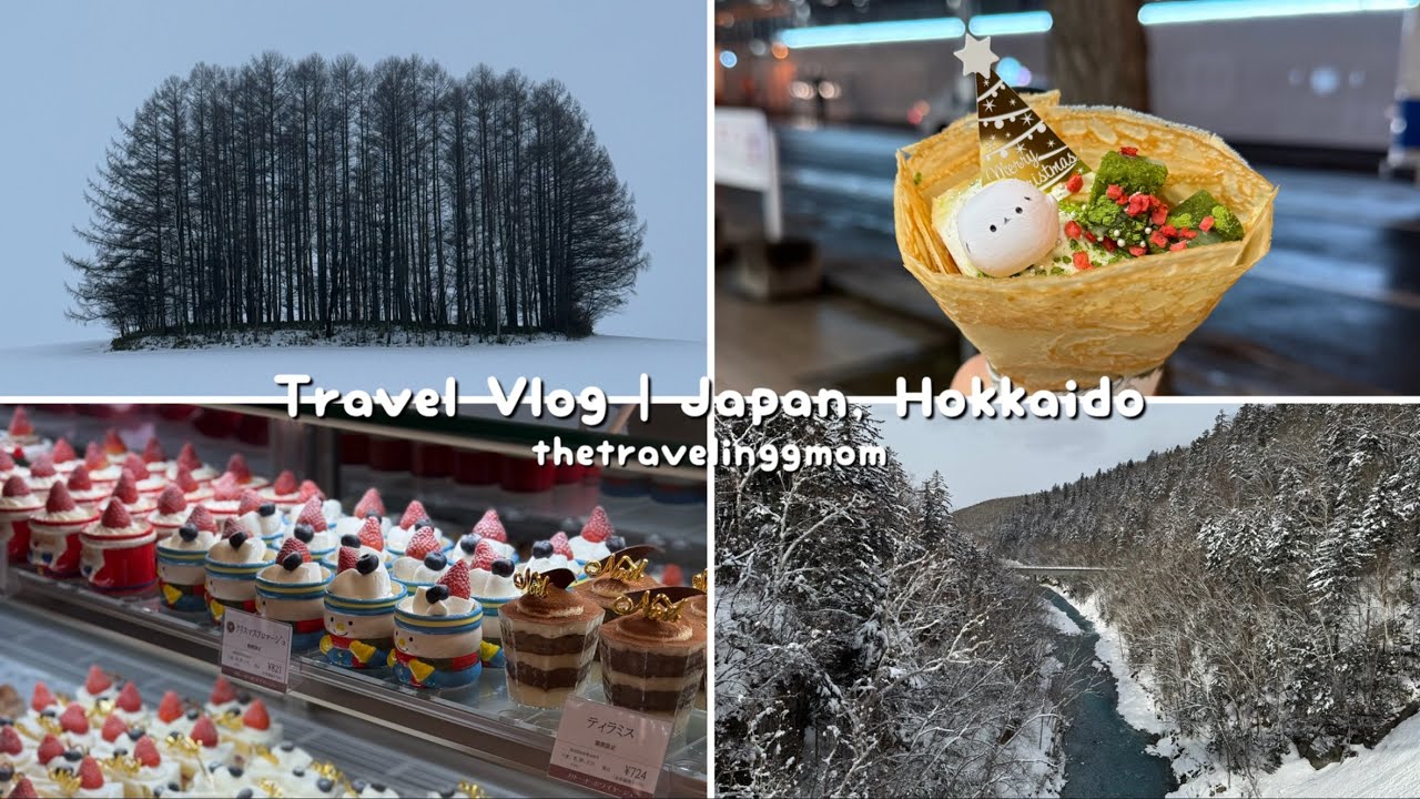 [VLOG] ❄️ Our Magical White Christmas in Hokkaido with Kids 🎄| Lake Toya | Otaru | Sapporo | Furano
