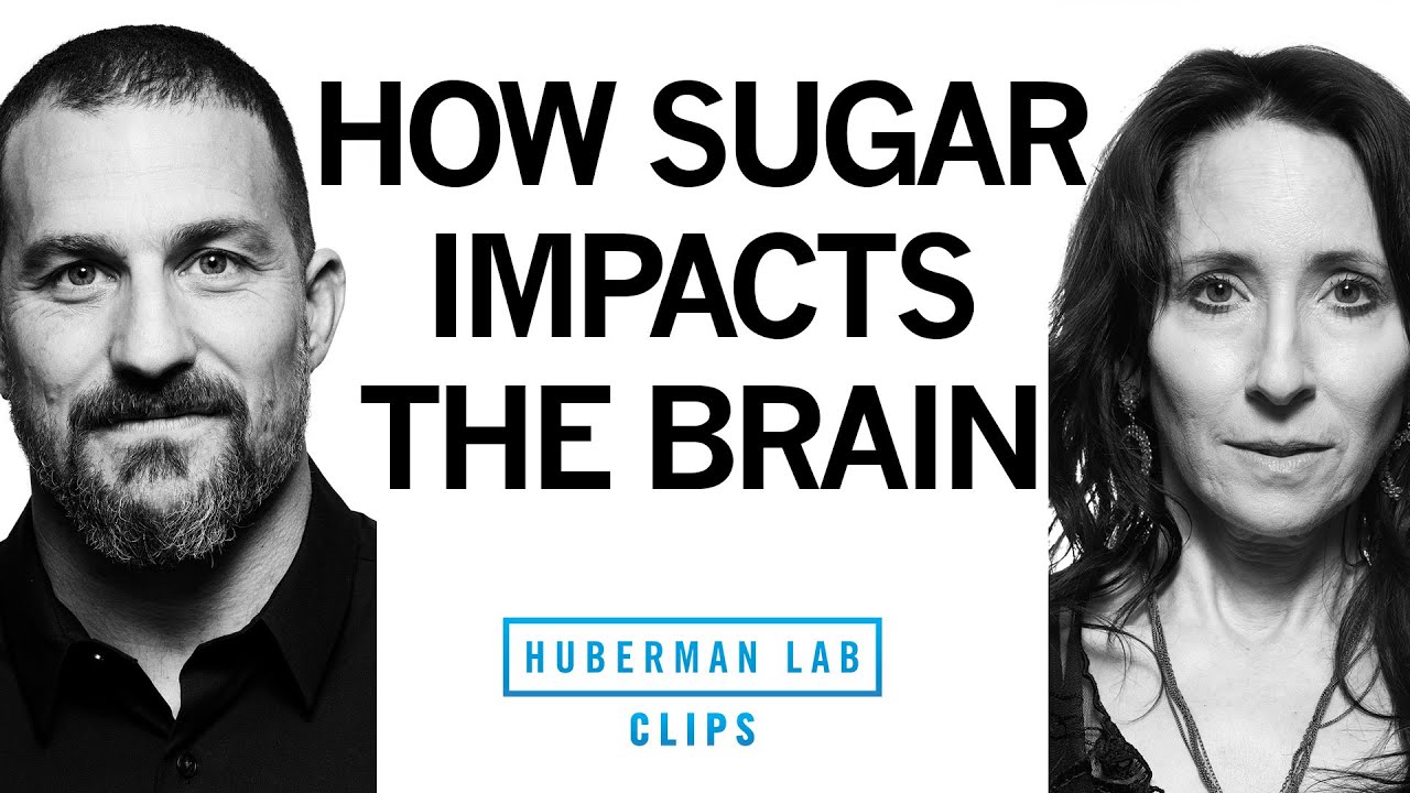 How Sugar & Soda Impact the Brain | Dr. Elissa Epel & Dr. Andrew Huberman