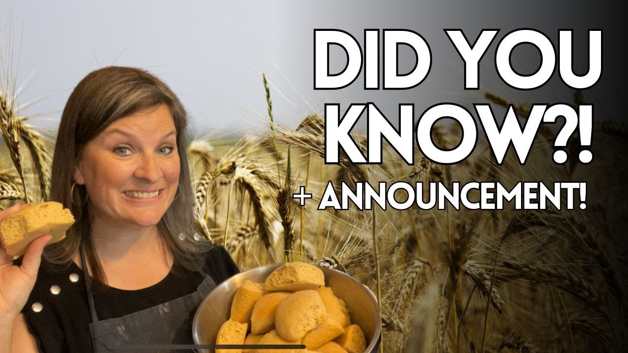5 fun facts you don&rsquo;t know about kamut