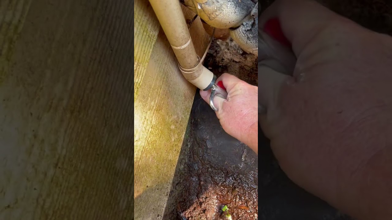 Clogged AC Drain