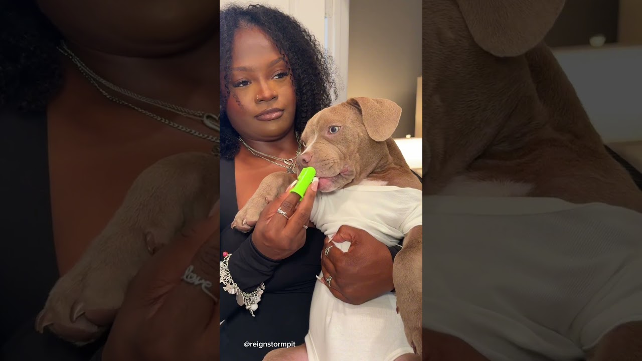 Puppy Morning Routine #puppy #cute #morningroutine