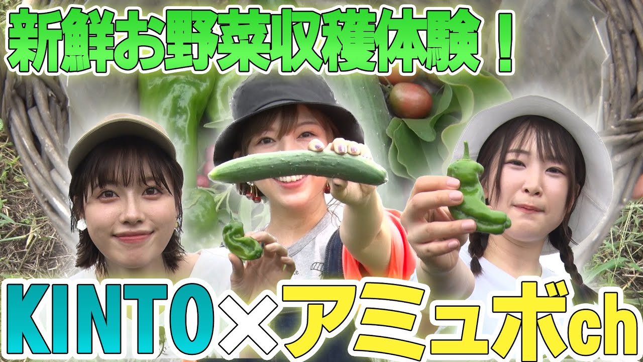 【コラボ企画】畑の中で、新鮮・無農薬お野菜収穫体験！／モビリティマーケット by KINTO×アミュボch
