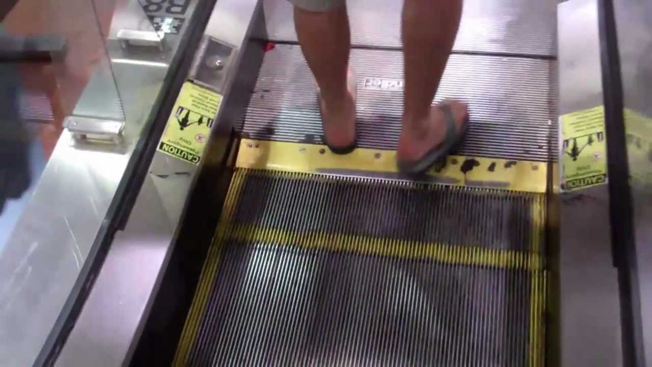 New York, NY: Schindler and Otis Escalators (B - 6) @ Macy's Flagship Store