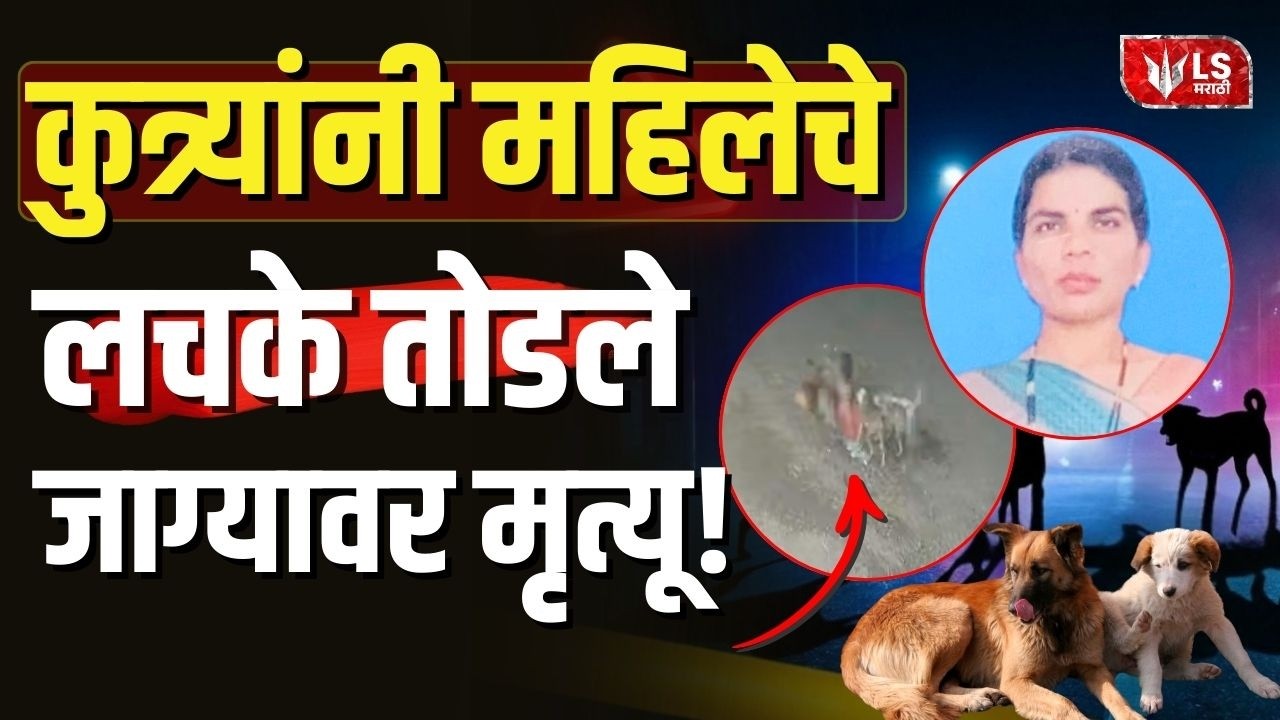 Chakan Dog Attack | भटक्या कुत्र्यांच्या हल्ल्यात महिलेचा मृत्यू, घटना CCTV मध्ये कैद