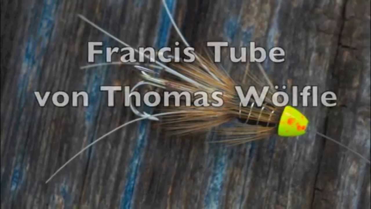 Binden der Francis als Tubenfliege