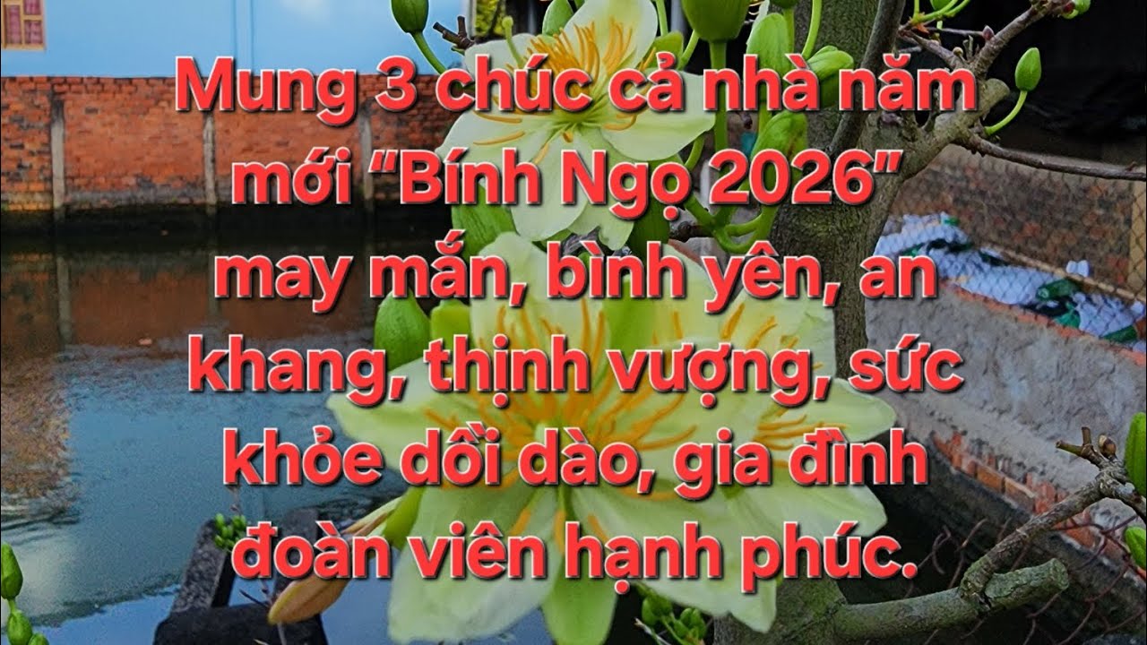 19/02 minh nhí 0976567966 gl lô mai giảo thủ đức đế đẹp giá hữu nghị