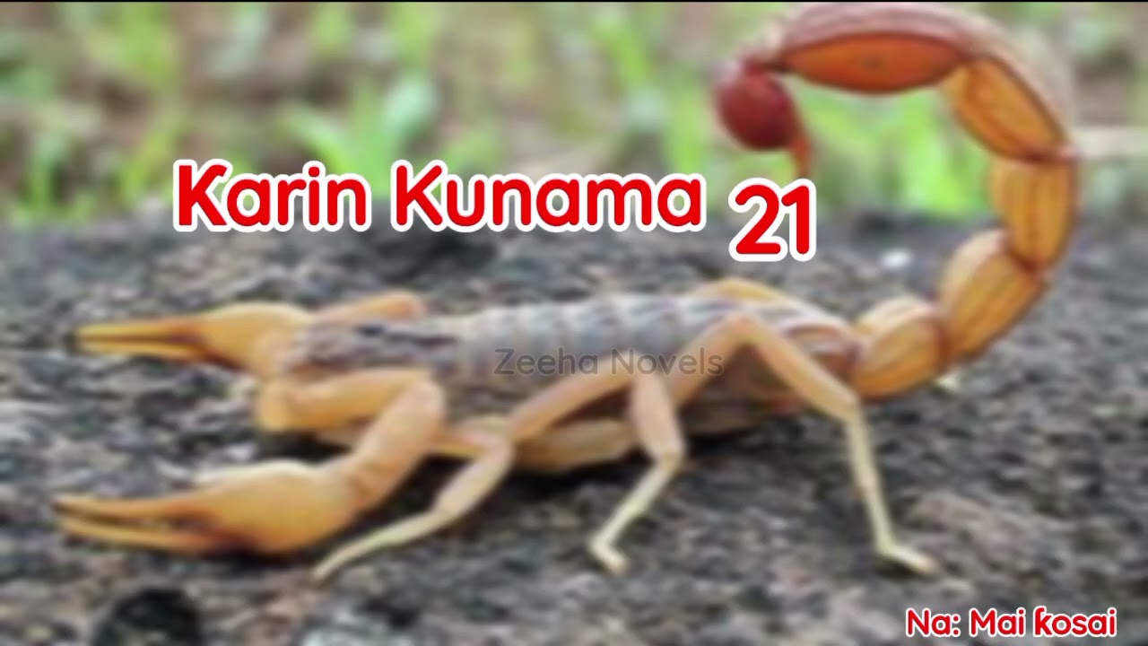 Karin Kunama 21, Labari mai cike da Sarƙaƙiya, Yaudara da Mugunta 