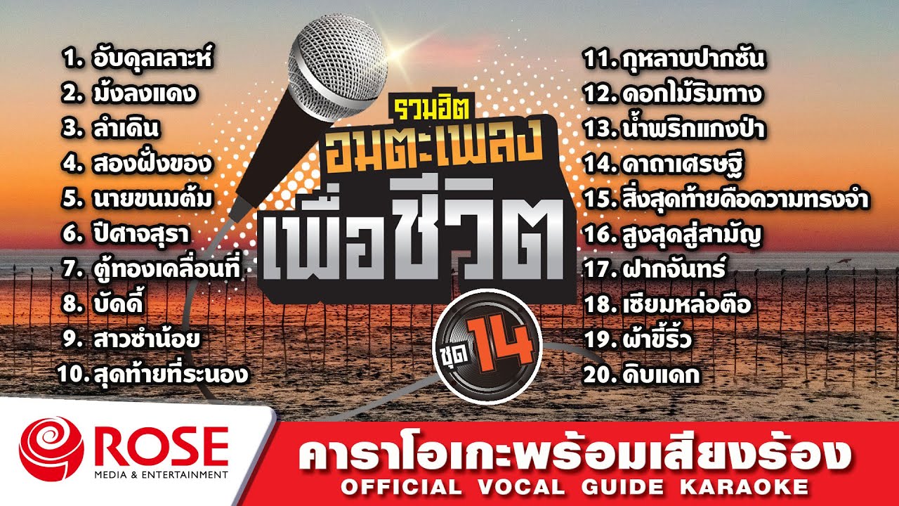 รวมฮิต - อมตะเพลงเพื่อชีวิต ชุด 14 (Karaoke Album)