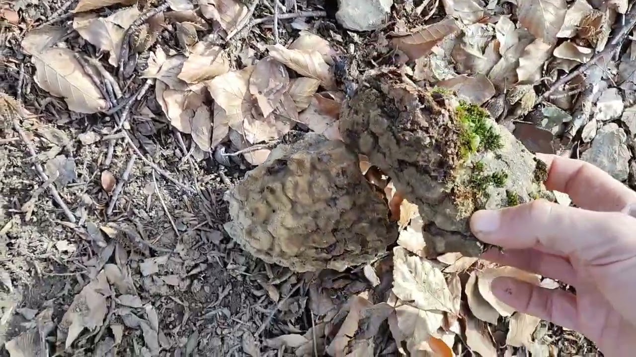 Поехали на риф