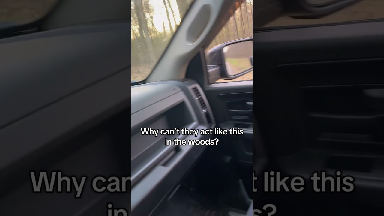 Never works out how you planned in the woods #turkey #hunting #whitetail #woodsman #outdoors #irony