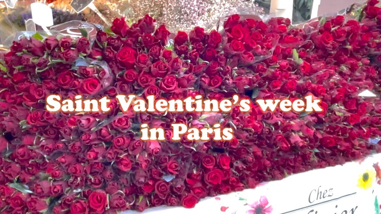 【Paris/4K】バレンタイン近しのパリ散歩/サンジェルマン大通り/高級住宅地の豊かさを感じながら歩きます。