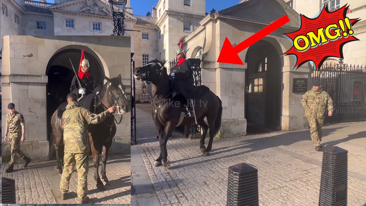 OMG! WHAT WRONG WITH THESE HORSES? BOTH KING’S HORSE’S GET SPOOKED!