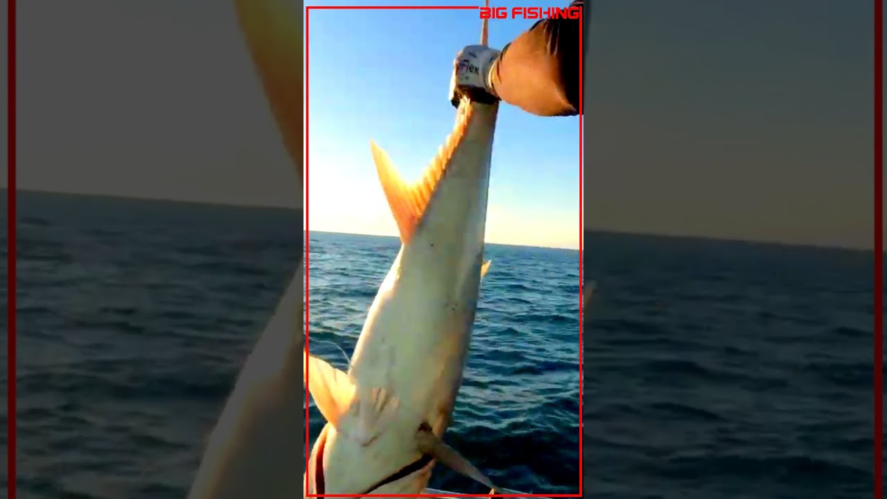 Giant Trevalley  Fishing   