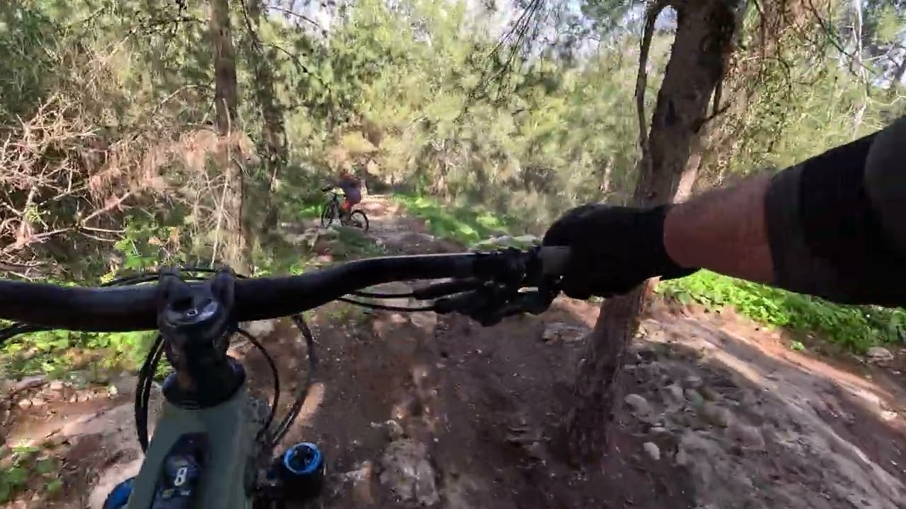 סינגל טכני  ביער חורשים 💪
