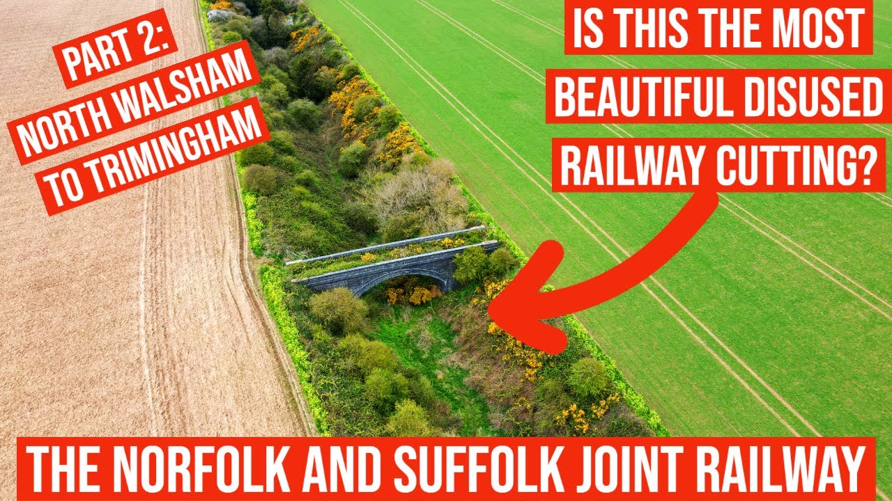 Does Norfolk have the Most Beautiful Disused Railway Cutting in the UK?         #norfolk #railway