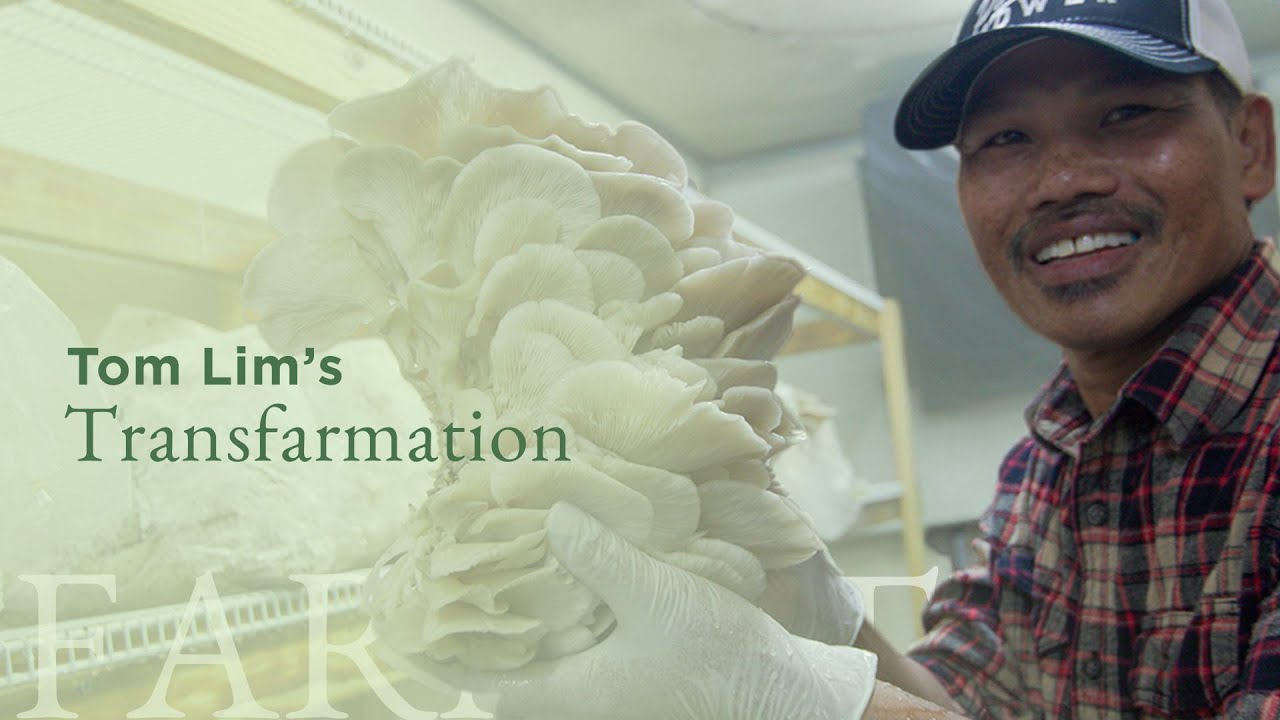 From Contract Grower to Crop Farmer